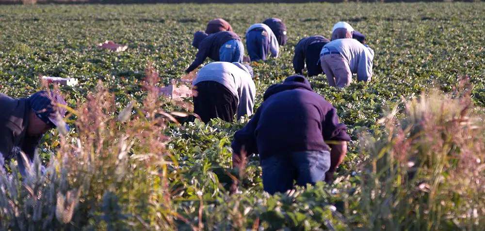 Αγροτοκτηνοτροφικοί Σύλλογοι Μεσσηνίας για τους εργάτες γης